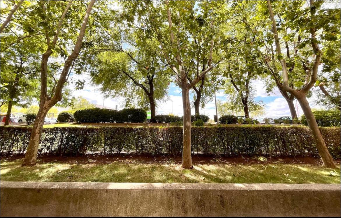 Apartamento Maximilian Dreams Madrid Exterior foto
